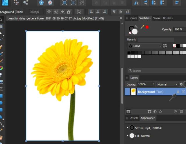 How to Remove a Background in Affinity Designer